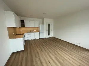 Pronájem bytu 2+kk, Brno, Jižní, 56 m2