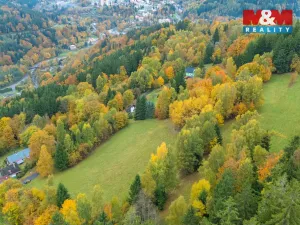 Prodej louky, Tanvald - Šumburk nad Desnou, 1444 m2