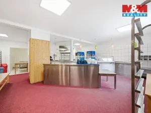 Prodej ubytování, Čenkovice, 297 m2