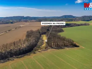 Prodej louky, Tachov, 12761 m2