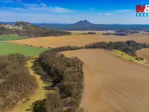 Prodej louky, Tachov, 12761 m2