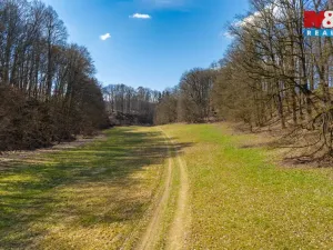 Prodej louky, Tachov, 12761 m2