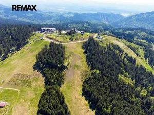 Prodej bytu 1+kk, Abertamy, Vítězná, 41 m2