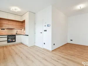 Pronájem bytu 1+kk, Olomouc, Hálkova, 30 m2