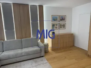 Pronájem bytu 1+kk, Brno, Bratislavská, 45 m2