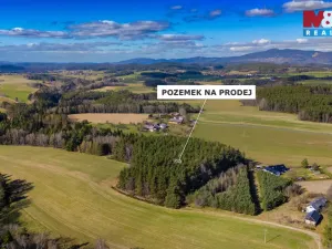 Prodej lesa, Všelibice - Přibyslavice, 23199 m2