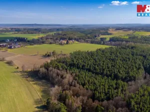Prodej lesa, Všelibice - Přibyslavice, 23199 m2