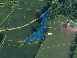 Dražba lesa, Bystrá nad Jizerou, 2802 m2