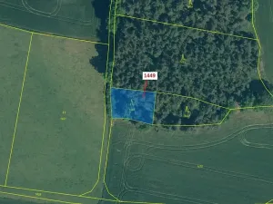 Dražba lesa, Hradiště, 638 m2