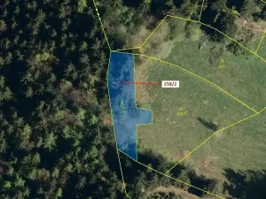 Dražba lesa, Zděchov, 697 m2