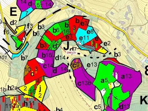 Dražba lesa, Český Dub, 1217 m2