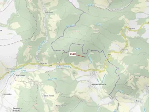 Dražba lesa, Vranová Lhota, 5323 m2