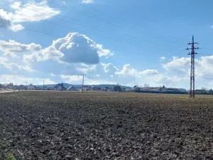 Prodej podílu pole, Podluhy, 12741 m2