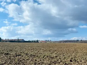 Prodej podílu pole, Podluhy, 12741 m2