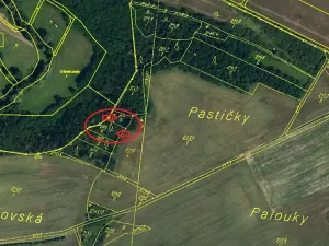 Prodej lesa, Plaveč, 1640 m2