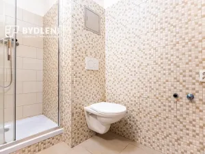 Prodej bytu 2+kk, Krupka, Dukelských hrdinů, 40 m2