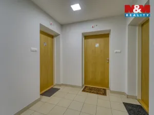 Prodej bytu 1+kk, Praha - Žižkov, Malešická, 38 m2