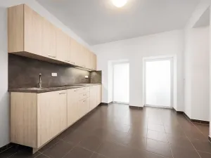 Pronájem bytu 1+kk, Brno, Tomáškova, 45 m2