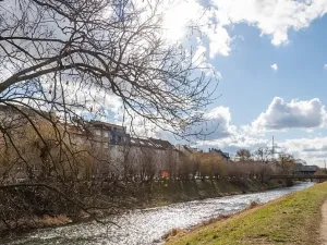 Pronájem bytu 1+kk, Brno, Tomáškova, 45 m2