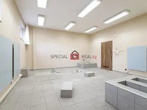 Prodej komerční nemovitosti, Ostrava, U Staré elektrárny, 53 m2