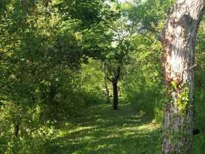 Prodej zahrady, Brno - Židenice, 1227 m2