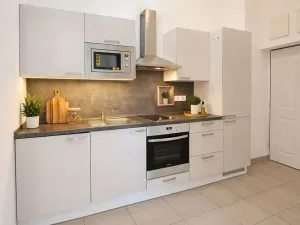 Pronájem bytu 1+1, Brno, Koliště, 31 m2