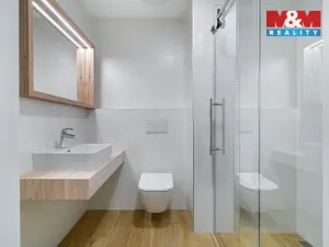 Prodej bytu 1+kk, Olomouc, Wolkerova, 33 m2