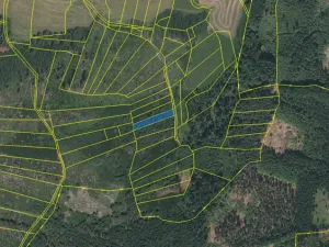 Prodej lesa, Kolinec - Buršice, 1299 m2