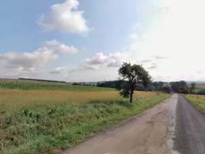 Prodej pole, Horní Nětčice, 6004 m2