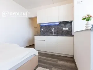 Pronájem bytu 1+kk, Praha - Střížkov, Děčínská, 22 m2