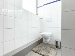 Pronájem bytu 1+kk, Praha - Střížkov, Děčínská, 22 m2