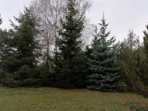 Prodej rodinného domu, Tlustice, 91 m2