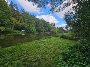 Prodej zahrady, Hvězdonice, 1154 m2