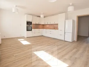 Pronájem bytu 3+kk, Praha - Braník, Novodvorská, 71 m2