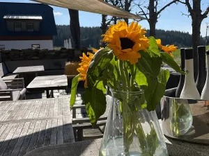 Prodej restaurace, Kvilda, 253 m2