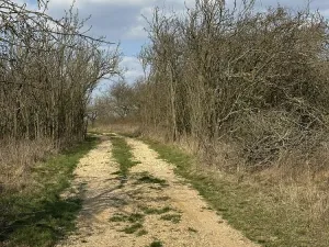 Prodej chaty, Ledce, 47 m2