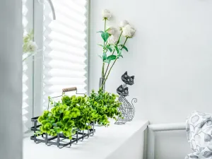 Pronájem bytu 2+kk, Albrechtice nad Orlicí, 1. máje, 32 m2