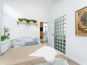 Pronájem bytu 2+kk, Albrechtice nad Orlicí, 1. máje, 32 m2