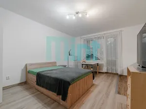 Pronájem bytu 1+kk, Havířov, Balzacova, 24 m2