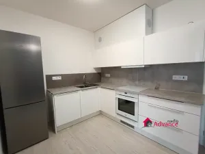 Pronájem bytu 2+kk, Ostrava, Důlní, 54 m2