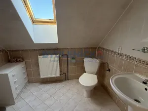 Prodej rodinného domu, Chlum u Třeboně, 250 m2