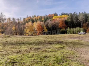 Prodej pozemku pro bydlení, Konstantinovy Lázně, 4381 m2