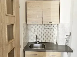 Pronájem bytu 1+kk, Brno, Rotalova, 25 m2