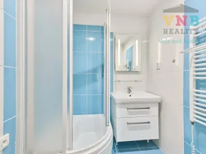 Prodej bytu 3+kk, Praha - Žižkov, Pod lipami, 70 m2