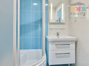 Prodej bytu 3+kk, Praha - Žižkov, Pod lipami, 70 m2