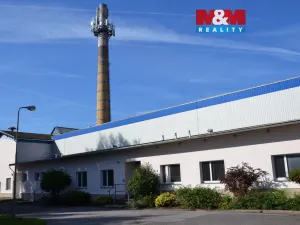 Prodej výrobních prostor, Miletín, Lhotova, 22000 m2