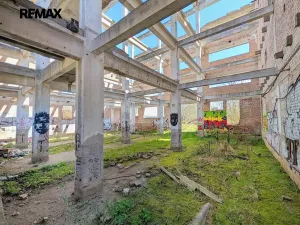 Prodej komerčního pozemku, Všestudy, 42524 m2