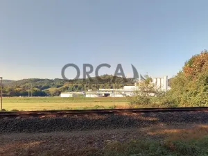 Prodej louky, Bohutín, 1450 m2