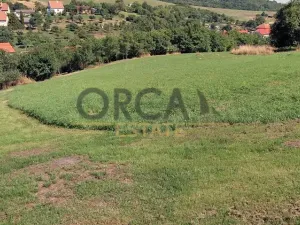 Prodej louky, Košíky, 3748 m2