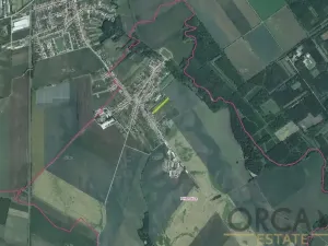 Prodej podílu pozemku pro bydlení, Přísnotice, 2772 m2